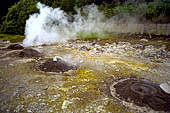Azzorre - Isola Sao Miguel, Furnas. Le fumarole nei pressi del Lago di Furnas. 
